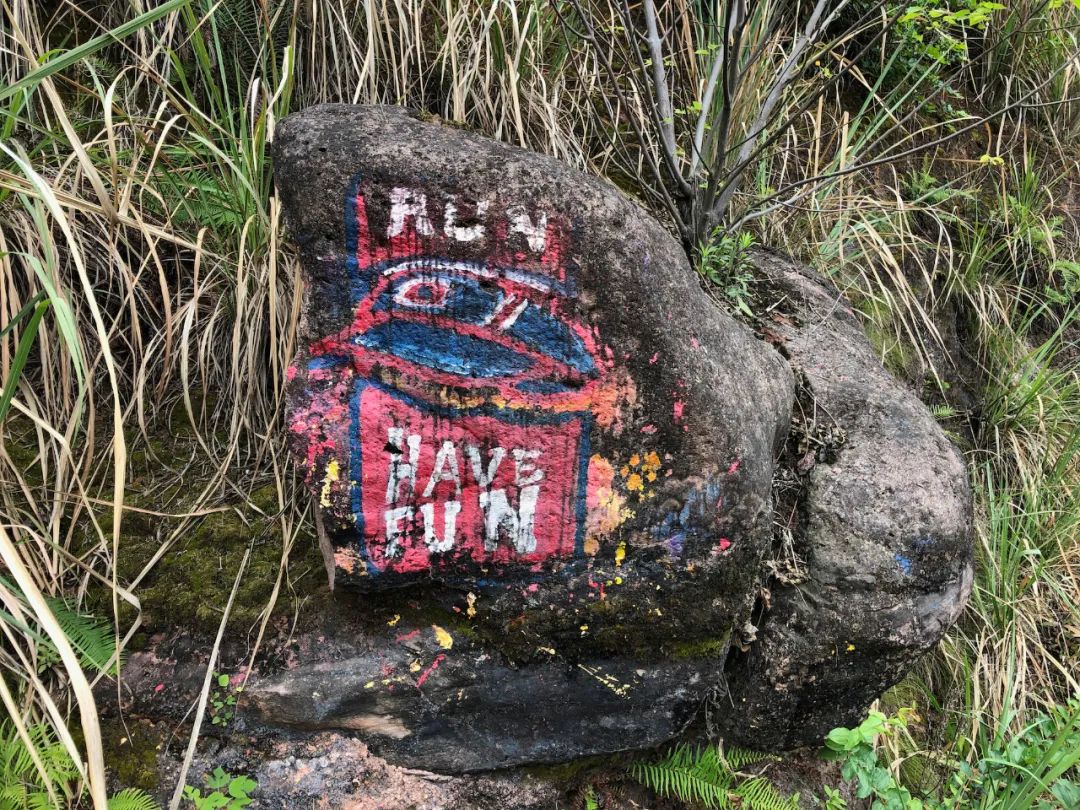 1701746254495134.jpg 640 (1).jpg